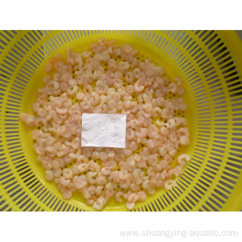Frozen Red Shrimps Size 200300